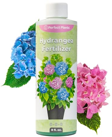 Premium Liquid Hydrangea Fertilizer by Perfect Plants | Bloom Booster | Fertilizer for Hydrangeas and Other Flowering Plants (8 fl oz)