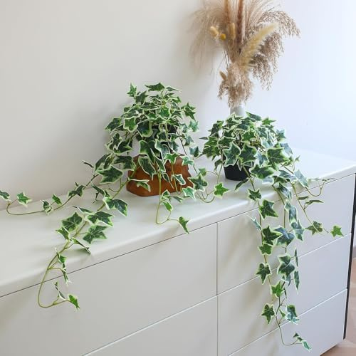 Fake English Ivy Plants in Pots Set of 2 – Realistic Artificial Ivy Greenery for Home Decor, Tabletop, Office, Shelf, Lifelike Faux Hanging Vines, No Maintenance Required (English Ivy White and Green)