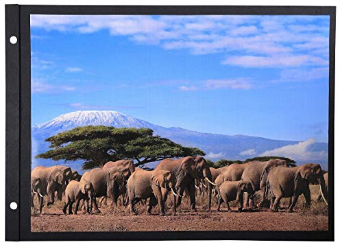 Exacompta - Ref 16813E - 1 påse med 10 klassiska kortrefiller för postalbum med svart skruv, 32 x 22 cm (refill 30,5 x 21,5 cm) - med förlängningsskruvar