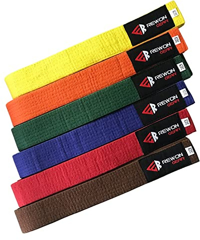 URBANSBEE Ceinture pour Taekwondo professionnel Karaté - Ceintures pour arts martiaux, ceinture de karaté judo, sport de combat qualité supérieure (6/310 cm, jaune)