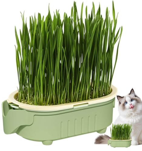Hydroponisk kattgräsbricka för inomhusbruk – kattgräs planteringsbricka söt hydroponisk låda, nyhet husdjur mellanmål jord mindre vattning nybörjarlösning för balkong, innergård