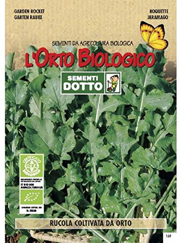 Idroponica Semi biologici di Rucola Coltivata da Orto