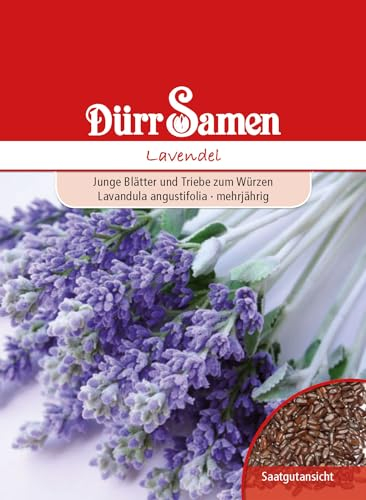 Lavendel Samen Lavendelsamen ca 100 Korn Heilkräuter Kräutersamen Heilpflanze Saatgut Balkon Garten Hochbeet Kübel Dürr Samen