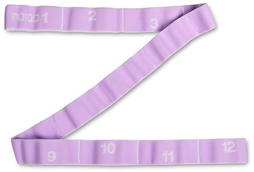 Banda Elastica Fitness con 12 Asas Purpura 127x4cm Bandas Elasticas Musculacion para Ejercicio en Casa Yoga Pilates y Gimnasio Banda de Resistencia para Estiramientos Cinta Cerrada Elastica Ejercicios