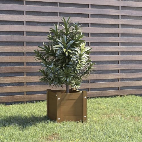 SKTQYQO Fioriera in Legno Massello Pino Marrone Ambra 31x31x31 cm per Piante Fiori e Erbe Aromatiche, con Foro di Drenaggio per Giardino Balcone e Terrazza, Resistente e Ideale
