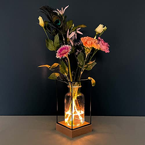 Gadgy® Beleuchte Vase Glas - LED Blumenvase für Wohnzimmer Deko Modern - Glasvase Skandinavische Deko - Ø8cm Blumenvase Modern - Deko Pflanzen Vase für Blumen - 22x11x11cm