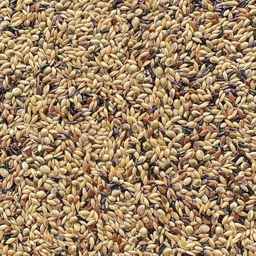 Il Contadino - Antichi Becchimi | MISCUGLIO per CANARINI EXTRA | Formula ricca di semi Selezionati adatta per tutto l'anno, No OGM, 100% Vegetale, Assenza di scarti. Qualità Superiore (5 Kg)
