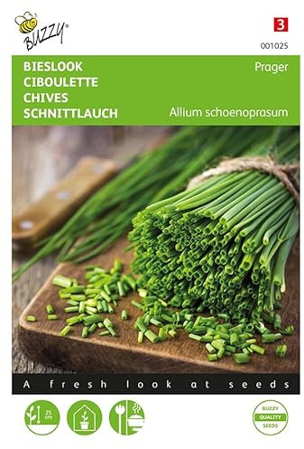 Buzzy Seeds 001025 Schnittlauch Feinröhrig (Schnittlauchsamen)
