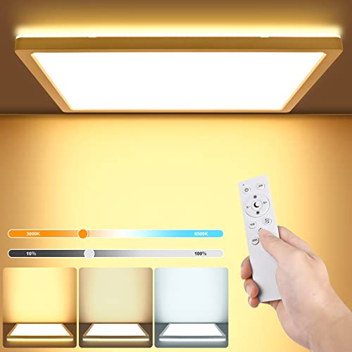 LEZOE Plafoniera LED Soffitto Dimmerabile con Telecomando, 18W 1800LM Lampada da Soffitto 3000K-6500K Plafoniera Bagno 2,5cm ultrasottile Lampadario LED Moderna per Cameretta, Cucina Soggiorno 22*22CM