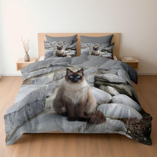Generico Set di biancheria da letto in morbida microfibra spazzolata 135 x 200 cm, con chiusura a cerniera e lacci angolari, copripiumini reversibili Gatto Siamese Elegante Scala Copripiumino, Grigio