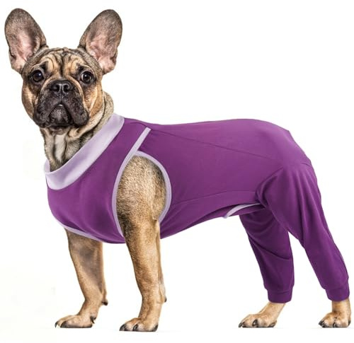 PUMYPOREITY Tuta Post Operatoria Cane, Cotone Body Post Operatorio Cane Femmina Tutore Zampe Posteriori Post Intervento Body Chirurgico(Viola, M)