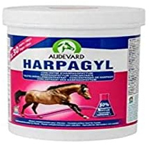 LABORATOIRES AUDEVARD 920-1598 Harpagyl 900G Audevard