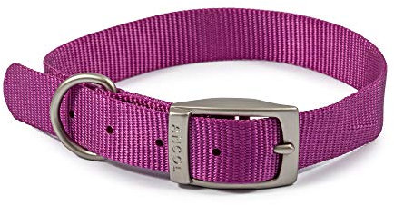 Ancol Viva Lightweight Dog Collar with Satin Buckle - Purple - Adjustable Weatherproof Poly Weave Puppy Neckband - 28-36cm Size 3