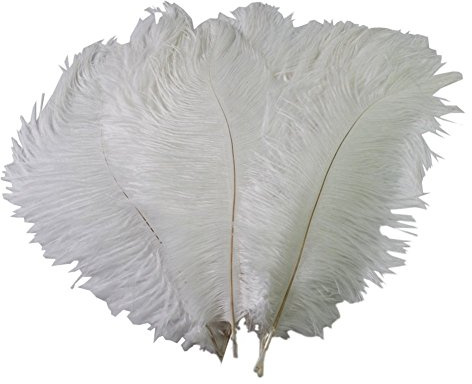 50pcs 10-15cm Natural Home Decor Ostrich Feathers for Home Wedding Xmas Party Decoration (White)