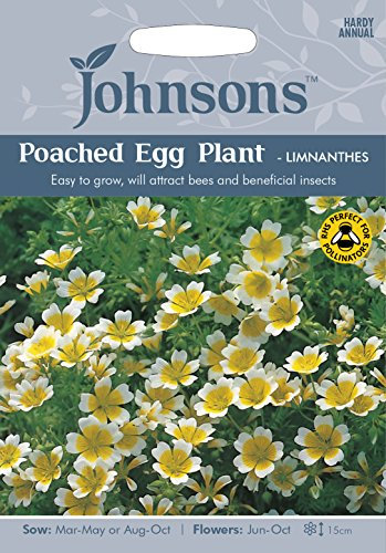 Johnsons 24142 Flower Seeds, Poached Egg Plant-Limnanthes, White and Yellow