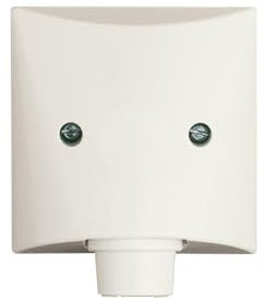 Busch-Jaeger 2133-32 Zentralscheibe