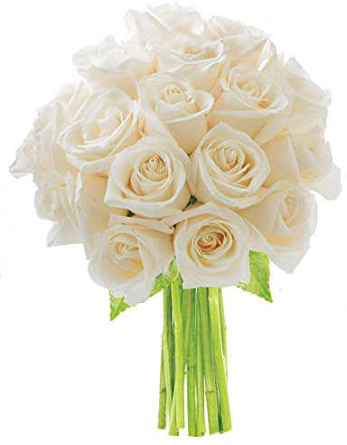 KaBloom PRIME NEXT DAY DELIVERY - Fall Collection - Bouquet of 18 Fresh White Roses .Gift for Birthday, Sympathy, Anniversary, Get Well, Thank You, Valentine, Mother’s Day Fresh Flowers