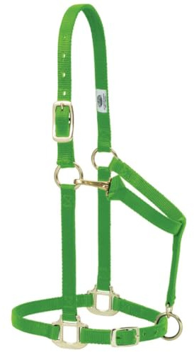 Weaver Leather Original Adjustable Nylon Horse Halter, Average Horse, Lime