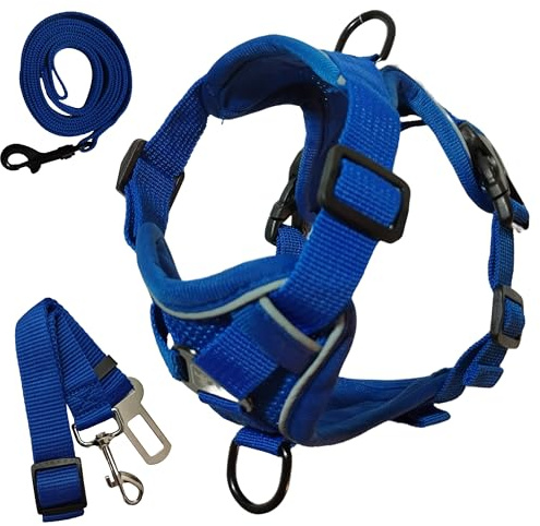 Pettorina per cani con linee riflettenti, anti-tiraggio, per cani di piccola taglia, con guinzaglio e cintura di sicurezza per auto, comoda e sicura, ad alta visibilità (XL, blu)
