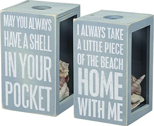 Primitives by Kathy Seashell Holder - Coastal Decor, Glass Display, Treasure Chest, Room and Bedroom Decor