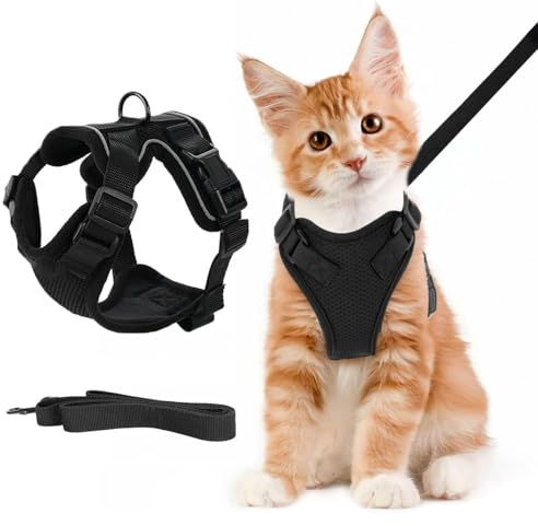 Katzengeschirr Mit Ausbruchsicherer Leine - Für Kleine & Grosse Katzen, Schwarz