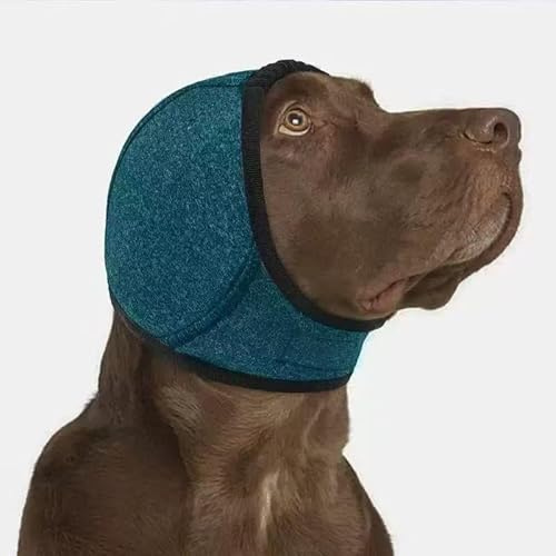 OCSOSO öronskydd för hundbad – vattentätt sim-öronskydd med brusreducering, ventilerande och justerbart hundöronskydd mot smuts, insekter (Teal M)