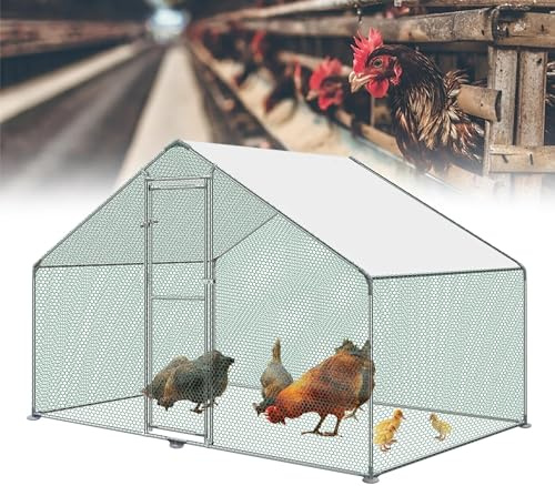 ACXIN Pollaiolo 3 x 2 x 2 m Recinzione libera porta con serratura, telaio in acciaio zincato rivestito in PE per galline, pollaio, gabbia per uccelli e piccoli animali