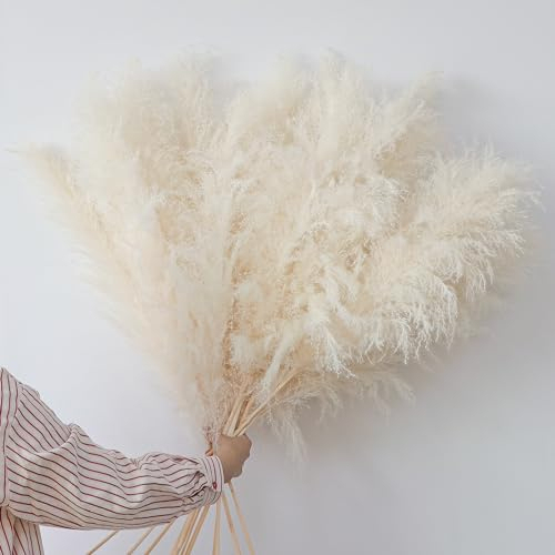 120CM 12Tallos Hierba de Pampas Natural Flores Grand Esponjosas Pampas Ramo de Hierba Flores Secas Decorativas para Boho Sala Dormitorio Balcon Home Piso Bodas Fiesta Rústica Room Decor