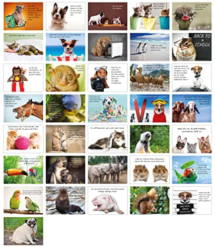 Clever Pool Grußkarten 36 Stk. – Postkarten Set mit frechen Tierbildern – starke Sprüche – Postkarten zum Verschenken – vielseitiges Set – hochwertig verarbeitet – schöne Farben – DIN A6