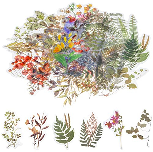 AUXSOUL 120 Stück Scrapbook Stickers Transparente Dekorative Aufkleber Blumen Sticker Fotoalbum Set PET Durchsichtiger Hintergrund für DIY Scrapbook Fotoalben Tagebüchern(Set 3)