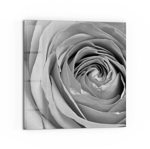 DEQORI Küchenrückwand Glas | Motiv Eleganz in Grau | 60x60 cm cm | Bad- oder Herd-Rückwand | Herdblende Spritzschutz für Küche & Badezimmer | moderne Deko für Fliesenspiegel