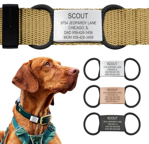 Personalized Dog Tags by ROAD iD | Silent & Durable | Jingle-Free Slide-On Design | Stainless Steel Name Tag Fits Any Collar | Multiple Colors & Sizes for Your Pet's Unique Style