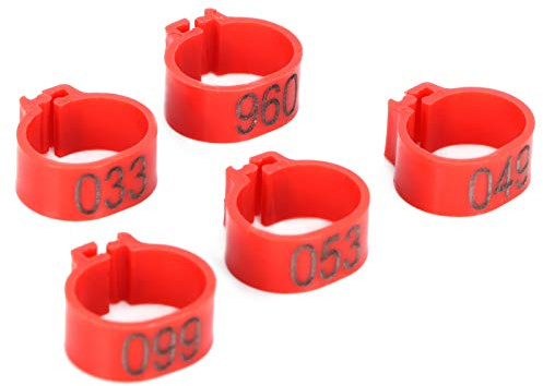 Chiyyak 100 Pezzi Fasce per Gambe per Piccioni, Resistenti All'usura, Riutilizzabili, per Uccelli, con Clip, Segni Identificativi per Piccioni, Confezione in Plastica per Uccelli (Anello rosso da 12