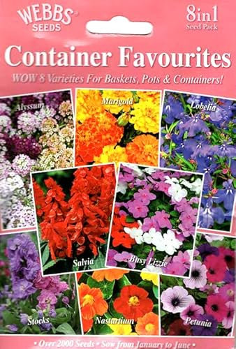 Compact Flowers 2000 Seeds, Alyssum/Marigold/Lobelia/Stocks/Busy Lizzie/Salvia/Nasturtium/Petunia