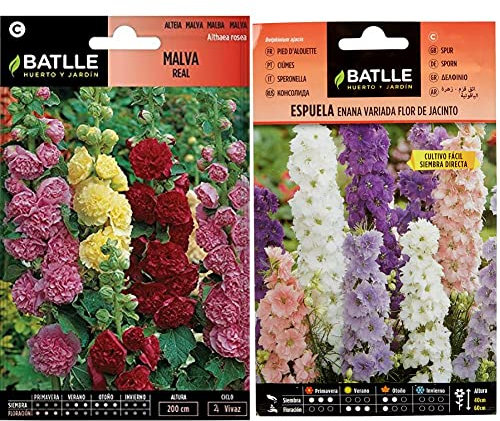 SEMILLAS BATLLE, Malva REAL VARIADA & Espuela - ENANA - flor de jacinto