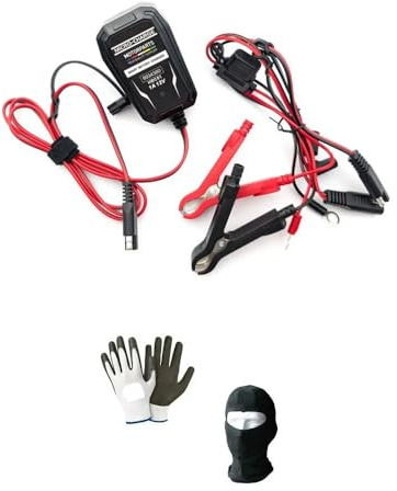 Chargeur de batterie pour moto scooter Maxiscooter charge batterie 6/12 V 20 W compatible avec 1340 Low Rider Custom - FXLR Mainteneur de charge pour batteries 2/30 Ah AMPERE au plomb / AGM/GEL/STD