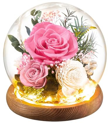 Flomoon Preserved Flowers Rose Birthday Gifts for Women, Forever Flowers in Glass Ball, Long-Lasting for Mom Her Wife Grandma Anniversary Valentines (Pink)