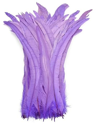 10/100 pièces 35-45CM bricolage coq plume artisanat couture vêtements décor plume maison fête femmes plume chapeaux accessoires de mariage(Light purple,35-40cm-10Pcs)