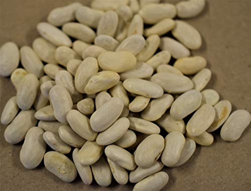 250 g Stangenbohne Neckarkönigin fleischige und sehr ertragreiche Bohne - Qualitätssaatgut