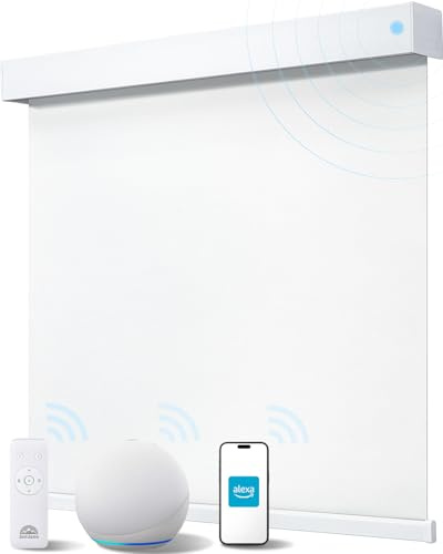 JaeJaes Smart Roller Shades for Windows, Alexa Blackout Motorized Blinds with Remote Control, Easy Install Automatic Electric Blinds for Indoor (23 W x 72 H, White)