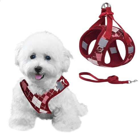 PawSailor Step-in-Hundegeschirr für extra kleine Hunde und Katzen, kein Ziehen, Kariertes, ausbruchsicheres Welpengeschirr mit Leine, verstellbar, reflektierend für sicheren Spaziergang, Rot, XXS