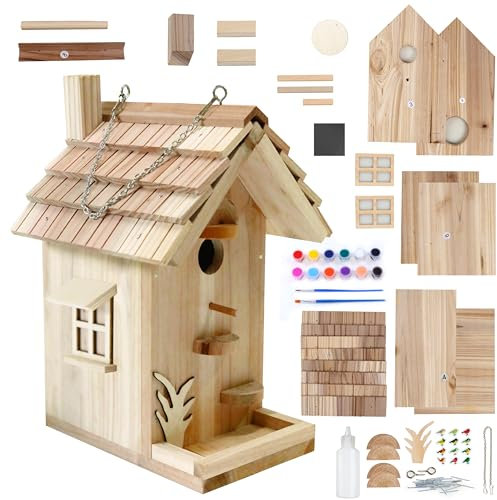 Kit de bricolage à peindre pour enfants, nichoirs en bois pour l'extérieur, travail du bois pour adultes (bois, 16,5 cm)