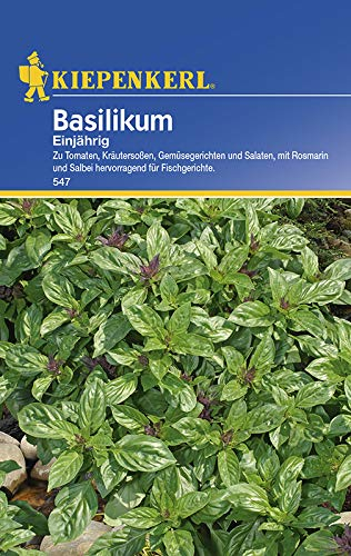 Kiepenkerl 547 Basilikum Einjährig (Basilikumsamen)
