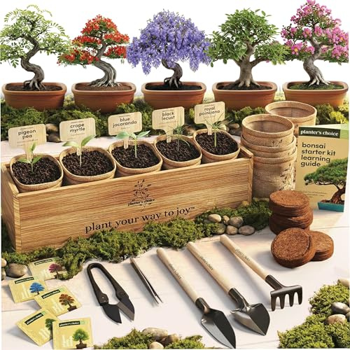 Planter's Choice Bonsai Tree Starter Kit - Mothers Day Gifts for Women, Men - Birthday Gifts for Adults - Indoor Live House Plants - DIY for Adults Craft Kits - Unique Hobby Gift Gardening Lovers