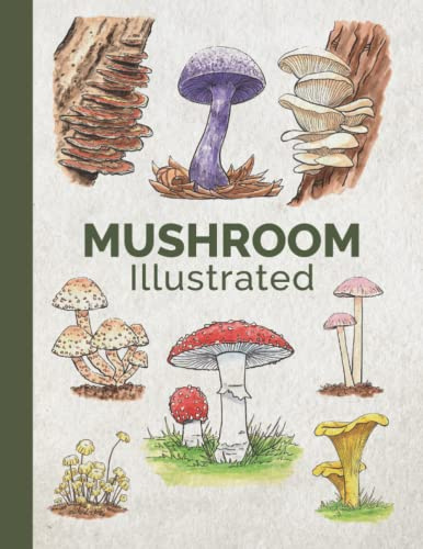 Mushroom Illustrated: A Mushroom Visual Guide