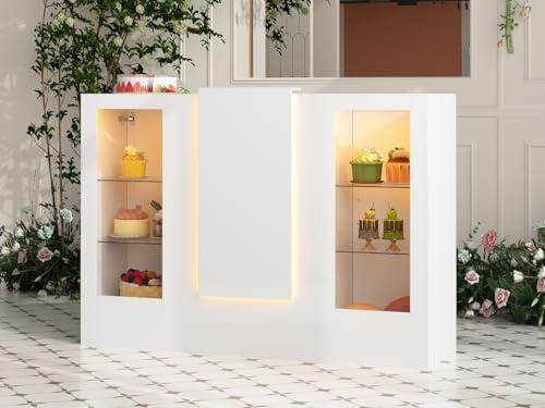 DEZAGCE Bancone da reception bianco, tavolo da ricevimento con barra luminosa, bancone per reception, bancone ricezione, tavolo per reception, bancone ricezione con 2 armadietti e 1 vassoio scorrevole