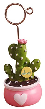 Fotohalter Hinweisclip Sukkulenten