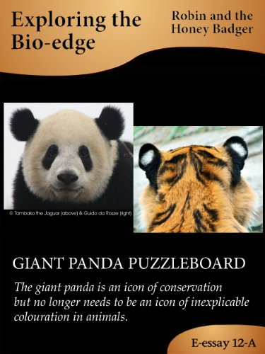 GIANT PANDA PUZZLEBOARD (Exploring the Bio-edge Book 12)