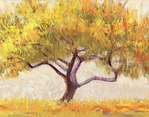 ArtExpert Apricot Tree by Shirley Novak - 28X22 Art Print Poster