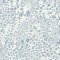 LiKiLiKi Self Adhesive Wallpaper Retro Floral Wallpaper 44x300cm Peel and Stick Wallpaper Waterproof Contact Paper Sticky Back Plastic Roll for Living Room Bathroom Furniture, Blue and Beige